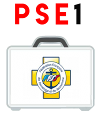 PSE 1 LOGO